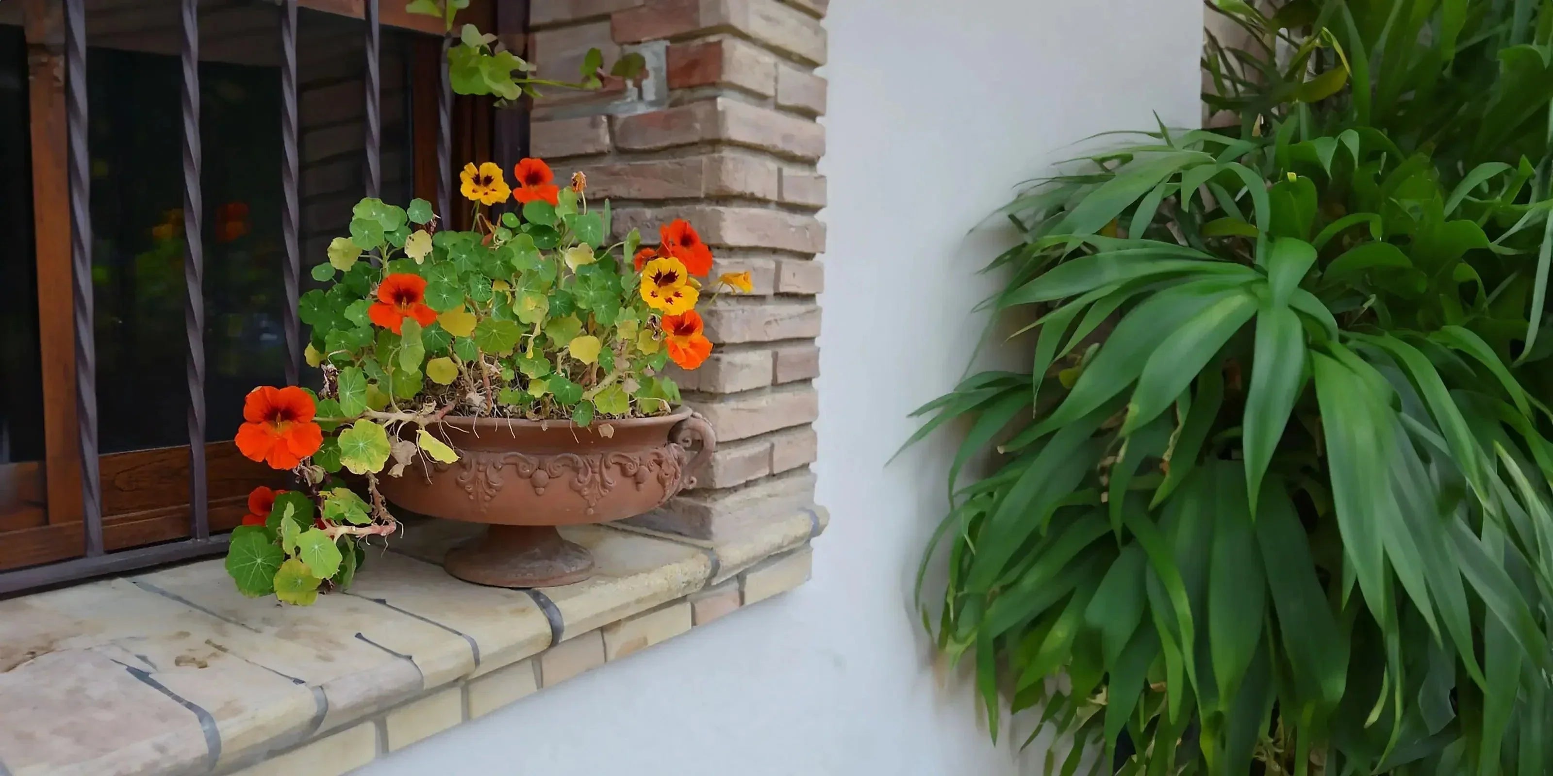 Vaso in terracotta con fiori arancioni su davanzale in mattoni ceramiche caltagirone fatti a mano