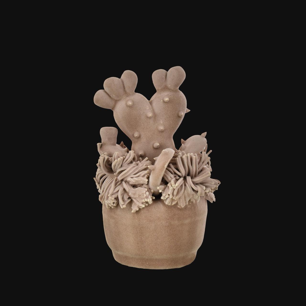 Pianta grassa piccola h 12 tortora opaco - Ceramiche di Caltagirone Sofia